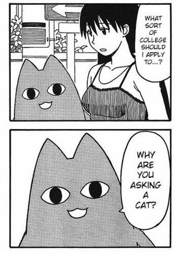 Datei:Why are you asking a cat.jpg